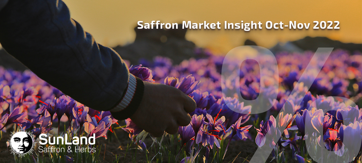 saffron market insight Oct-Nov 2022