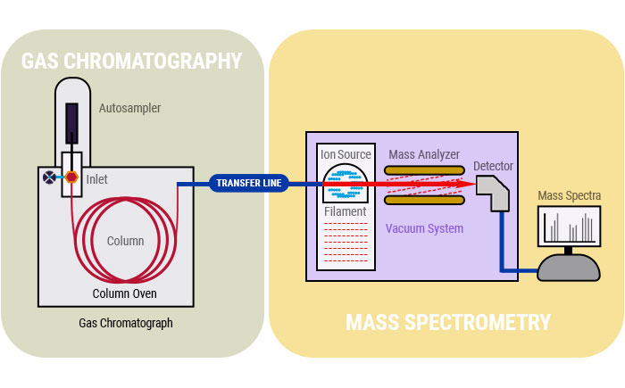 3-The gas chromatography-mass spectrometry (GC-MS) 
